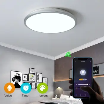  24W Tavan Lambası Akıllı App Kontrolü 220V LED RGB Tavan Lambası Wifi Bluetooth Kapalı Oturma Dinlenme Odası yatak odası aydınlatması
